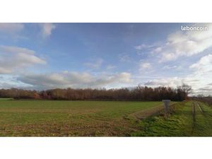 Bois - Taillis : 6243 m²