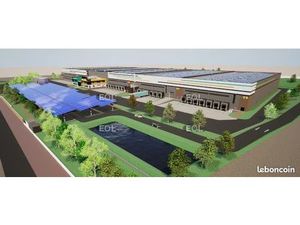 Local logistique 31 245 m²