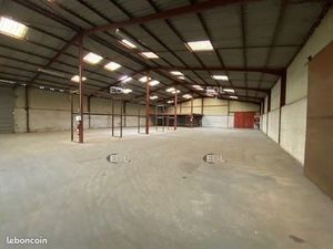 Local d'activité 1 343 m²