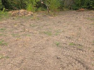 Beau terrain centre-ville