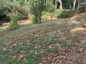 Terrain 820 m² Cenne-Monestiés