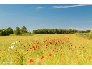 Terrain 800 m² Cissac Medoc