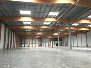 Local industriel 6 236 m²