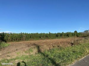 Terrain 4622 m² Gans