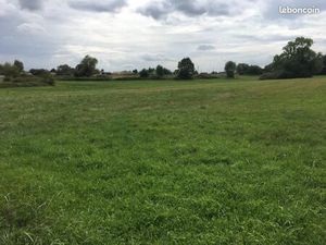 Terrain 1 127 m² Gauriaguet