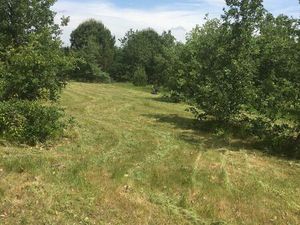 Terrain agricole - 4 hectares constructible pour une activité agricole