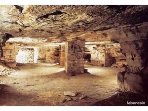 Entrepôt Stockage Cave à vins de 7 000 m² avec Grand parc de loisirs arboré de 14 883 m² à