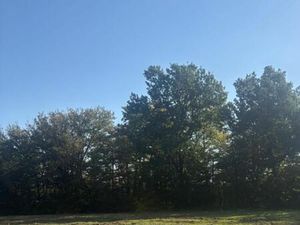 Terrain 600 m² Cadarsac