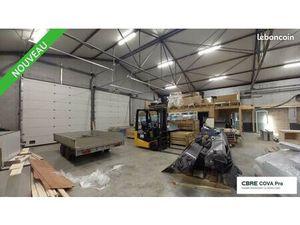 Local commercial 600 m²