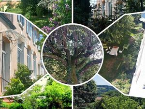 Charmante maison ancienne pleine de caractère à Roybon (38940) - Calme absolu