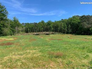 Recherche terrain constructible paisible