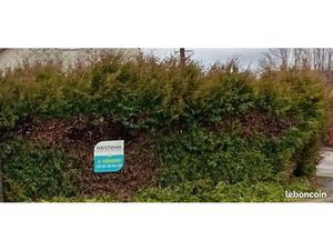 Maison 3 pièces 125 m²