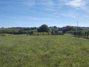 Terrain 1 201 m² Capian