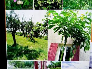 Maison à fort potentiel