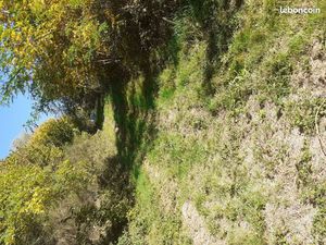 Terrain 3600m2 de pre et 65m2 de bois