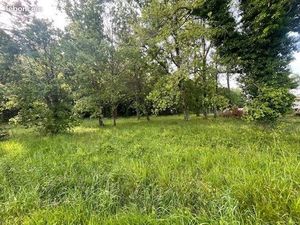 Forêt 600 m² Cadaujac