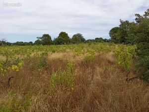 Vends terrain agricole