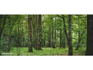 Terrain 5 m² Ciry-le-Noble