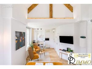 ? immeuble de rapport rénové – 2 logements dont un avec spa