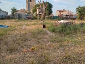 Terrain 1084 m2