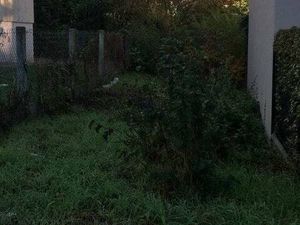 Terrain constructible viabilisé à vendre