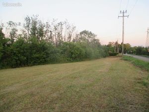Sarrebourg. Beaux terrains a bâtir viabilises