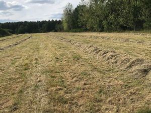 Terrain agricole 18500 m2