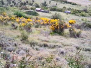 Terrain de loisir ou toute culture