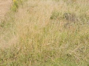 Terrain à construire