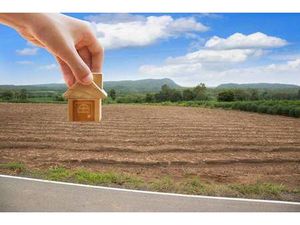 Terrain constructible viabilisé à vendre