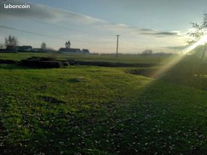 Terrain constructible