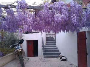 Maison en pierre 110m2