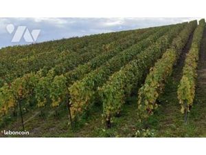 Terrain 2426 m² MARDEUIL