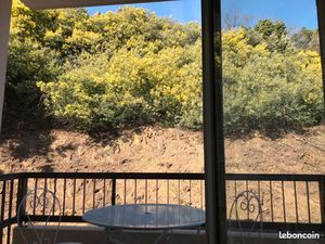 Location à l'année studio meublé