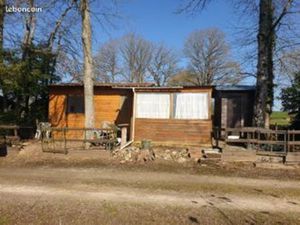 Chalet de pêche d’exception dans le Perche – Ponton privé sur un étang entretenu