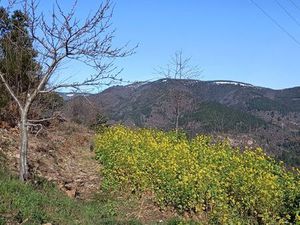 Terrain 3190m² vue imprenable - Malbosc Cévennes