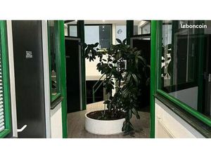 Bureaux à louer / 95 m² - Dijon 21000 · Quartier Montchapet