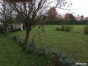 Terrain constructible