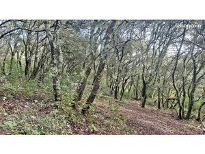 Terrain 1330 m² Carnoules