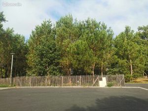 Terrain 932 m² Le Porge