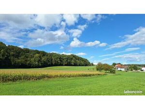 Terrain 509 m² Steinsoultz