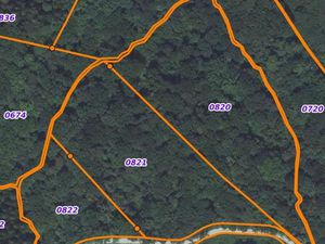 Vends bois / forêt 3 hectares