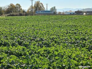 Terrain constructible en bord de l'A64 zone industrielle