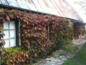 Maison 3 pieces 65 M2