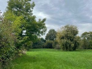 Terrain et tourbière