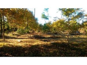 Terrain 612 m² Audenge