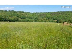 Vente Terrain Constructible 1175 m²