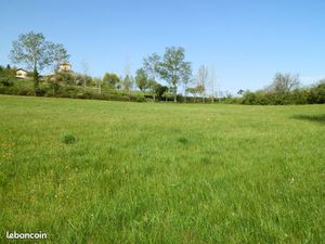 Terrain constructible