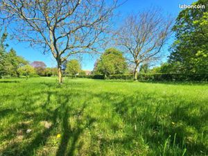 Terrain 3 546 m² Cressonsacq