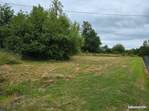 Terrain 4 500 m² Beaupouyet